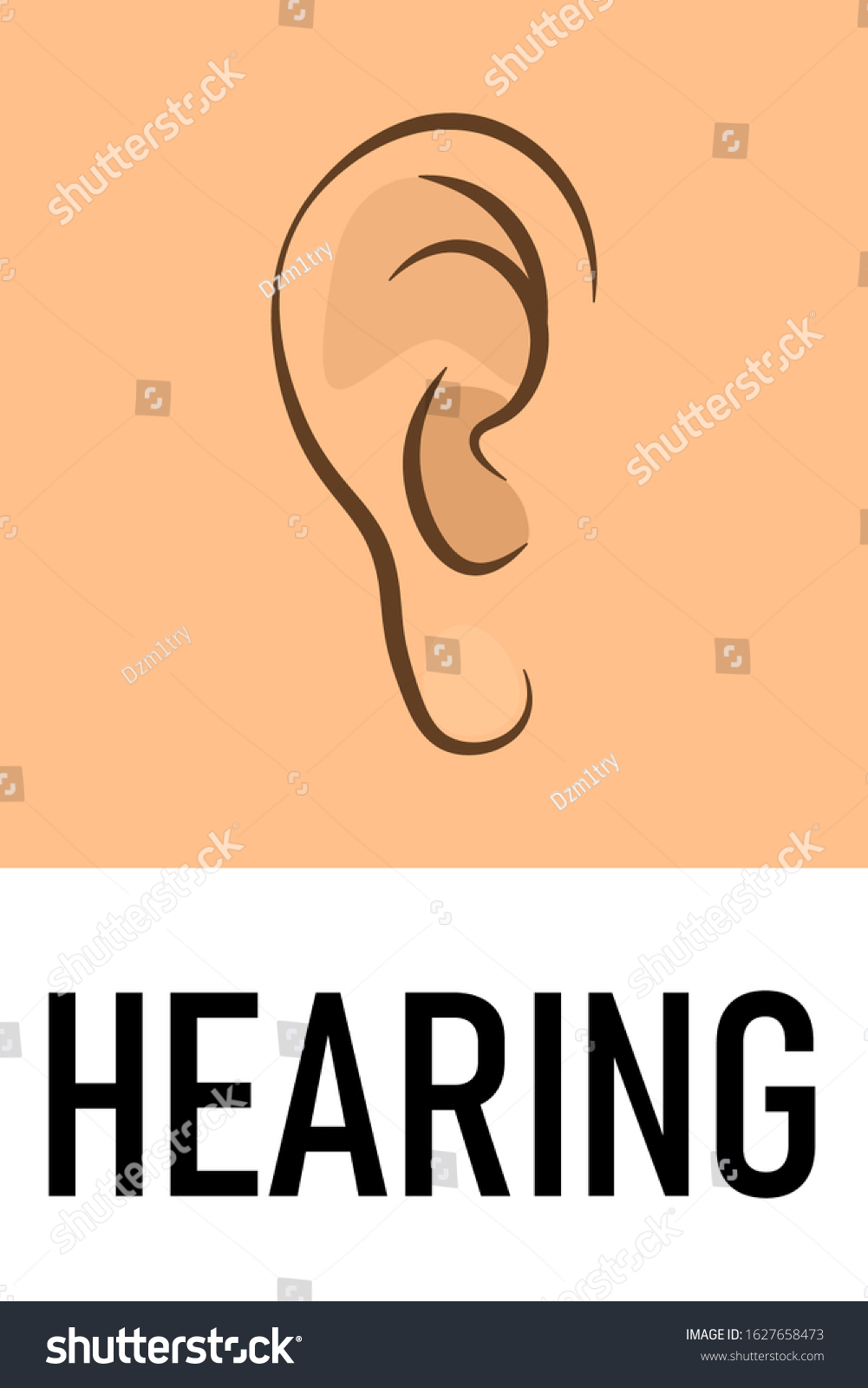 Hearing Sense Icon Clipart Image Isolated On Royalty Free Stock