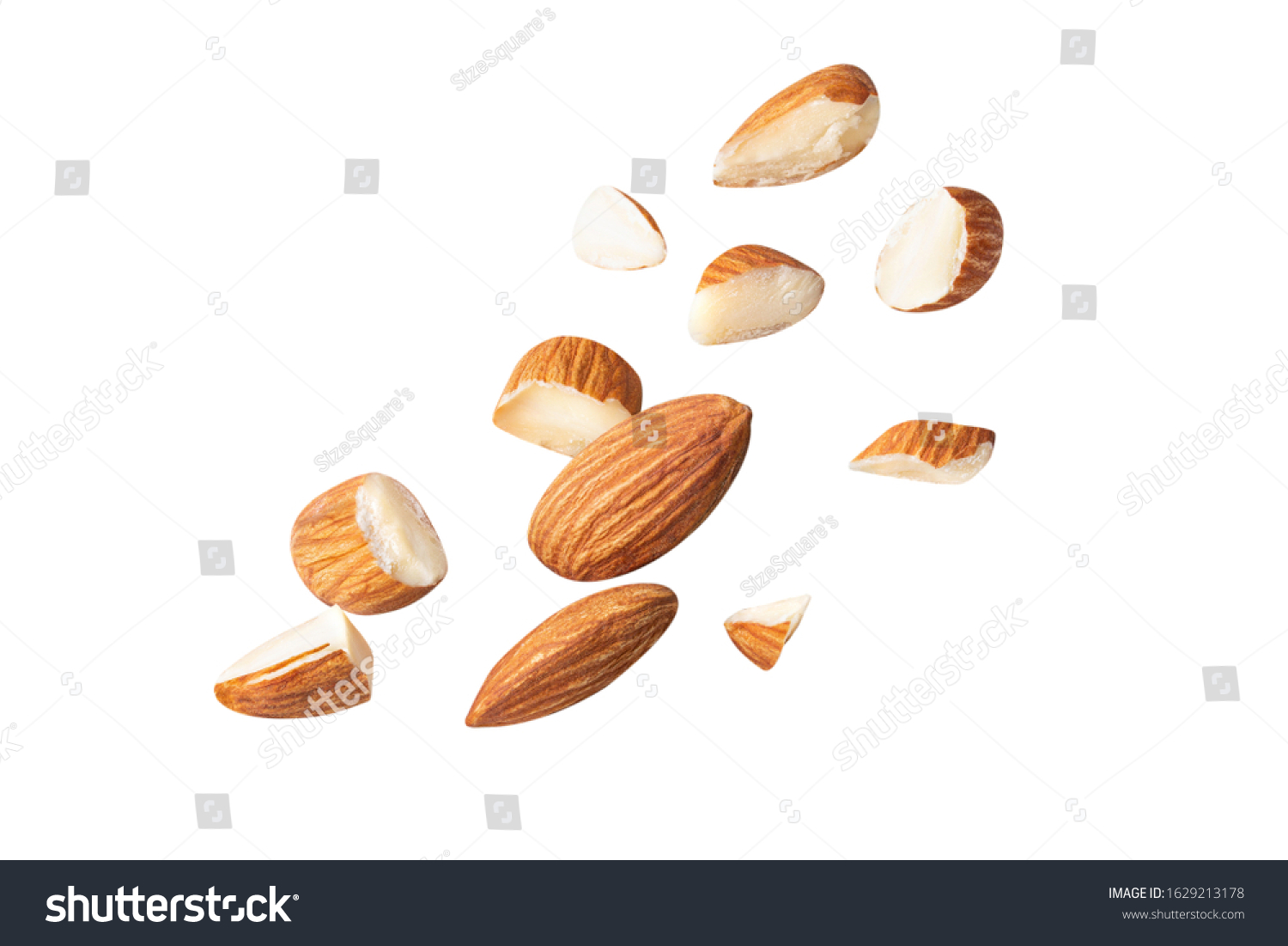 full almond fly on white isolated with clipping path #1629213178