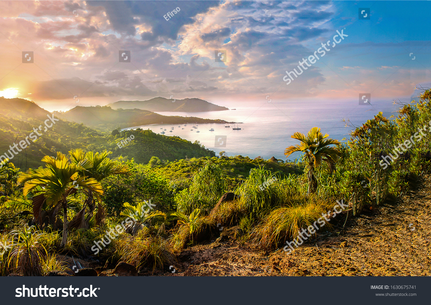 Sea bay at sunrise landscape. Summer palm island #1630675741