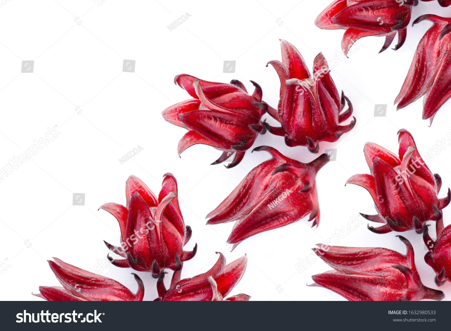 Closeup fresh  Roselle fruits ( Jamaica sorrel, Rozelle or hibiscus sabdariffa ) isolated on white background. #1632980533