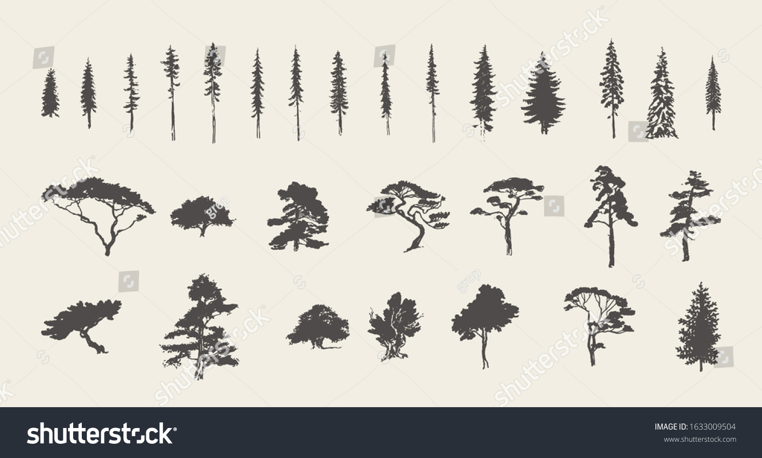 Set of silhouettes of coniferous trees. Pine, fir, spruce, cedar, larch. Hand drawn vector illustration, sketch #1633009504
