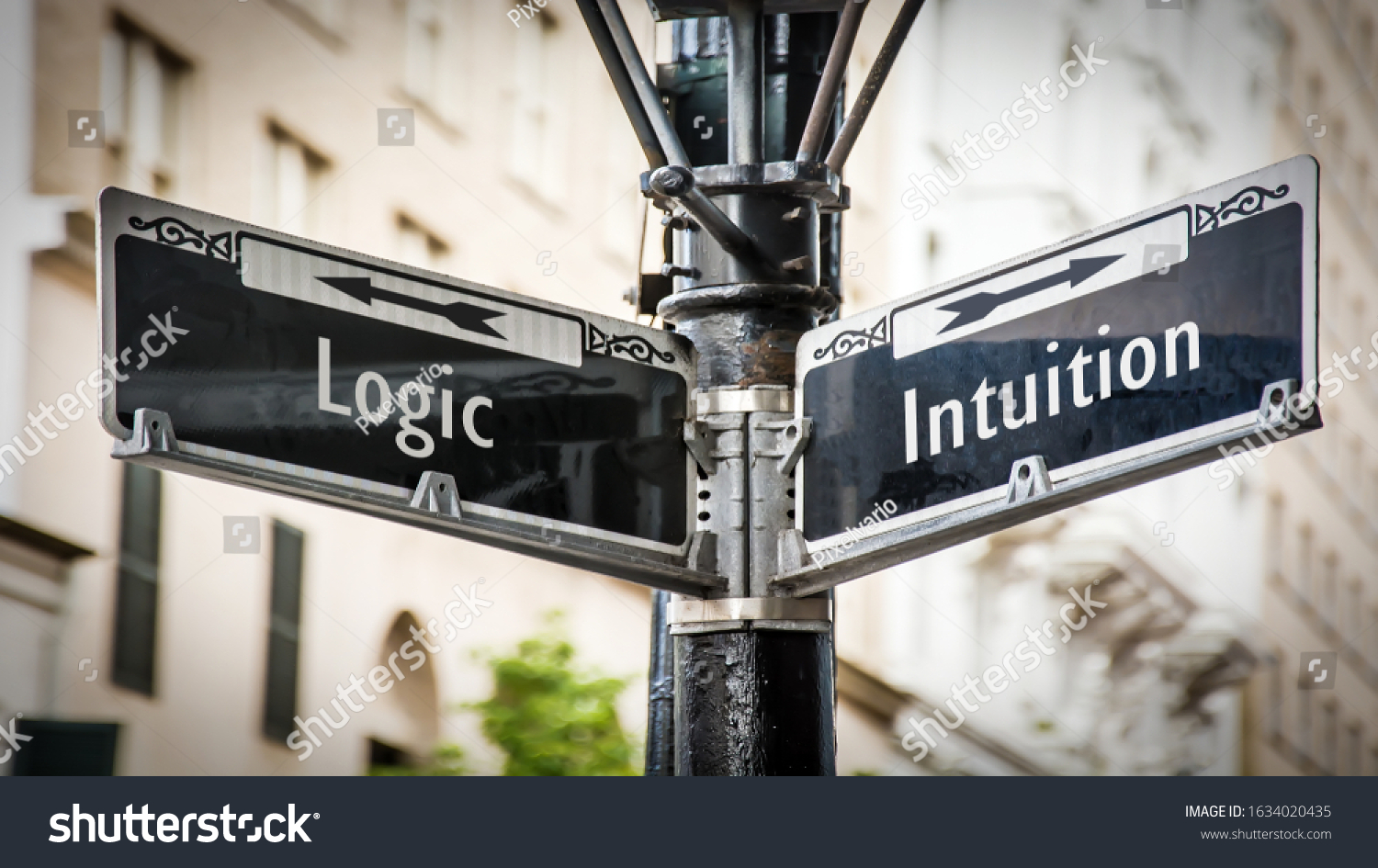 Street Sign the Direction Way to Intuition versus Logic #1634020435