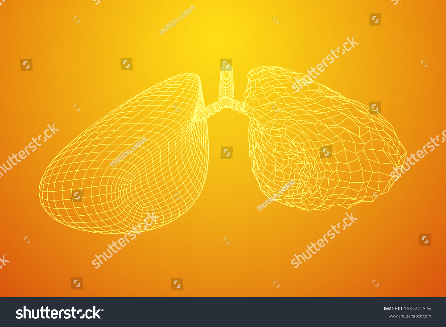 Healthy And Sick Lung With Trachea Bronchi Royalty Free Stock Vector