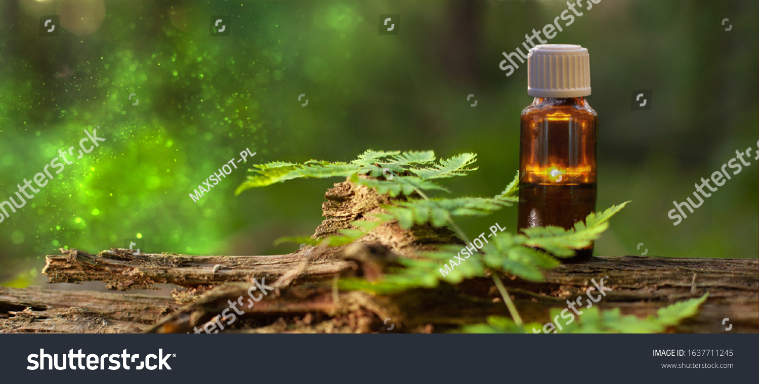 Aromatherapy - space for text. Natural medicine. Homeopathy - banner free space. Natural Therapy #1637711245