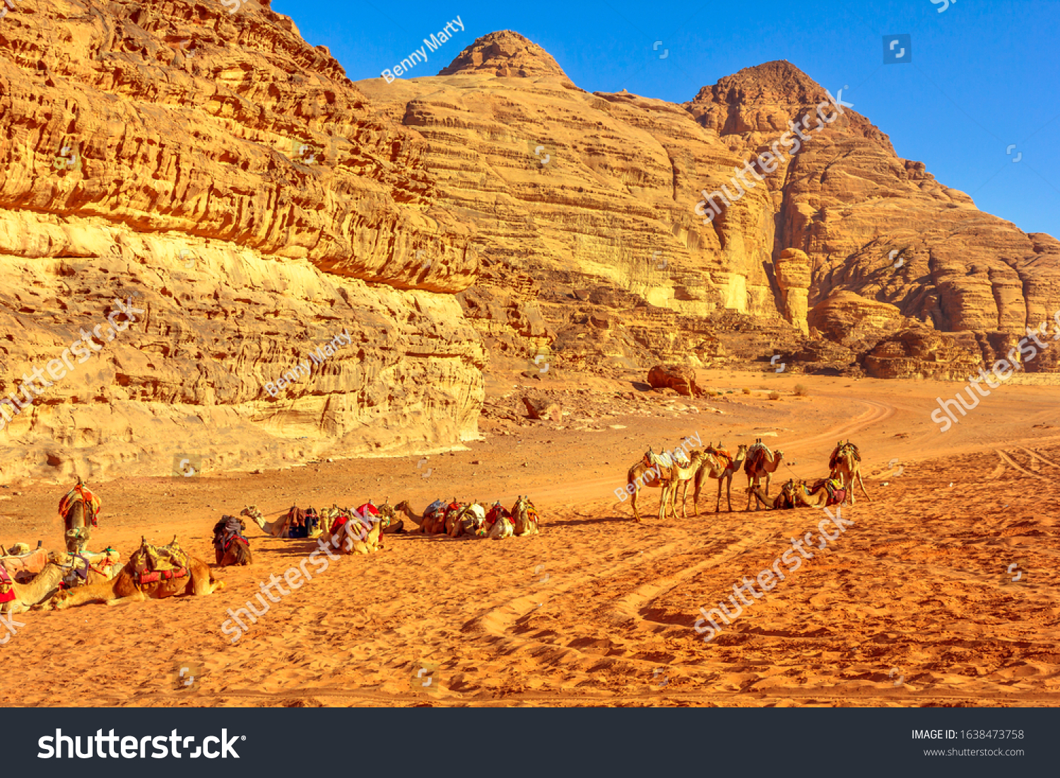 Group of dromedary camels waiting for tourists in the middle of the Valley of the Moon, Wadi Rum Desert, southern Jordan. Popular tourist destination for spectacular sandstone and granite rock. #1638473758