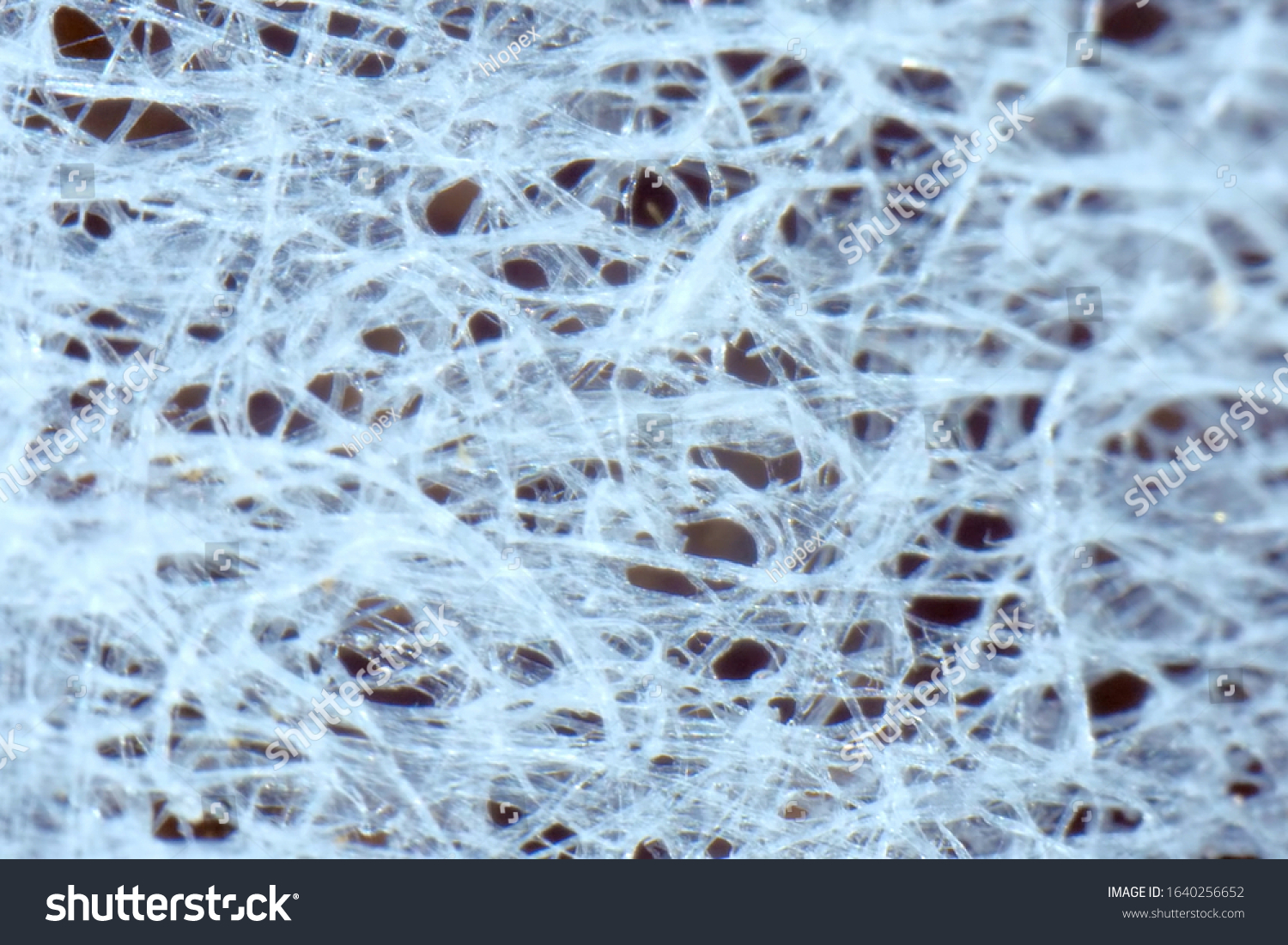 Background texture made of transparent organic. Threads of organic matter. #1640256652