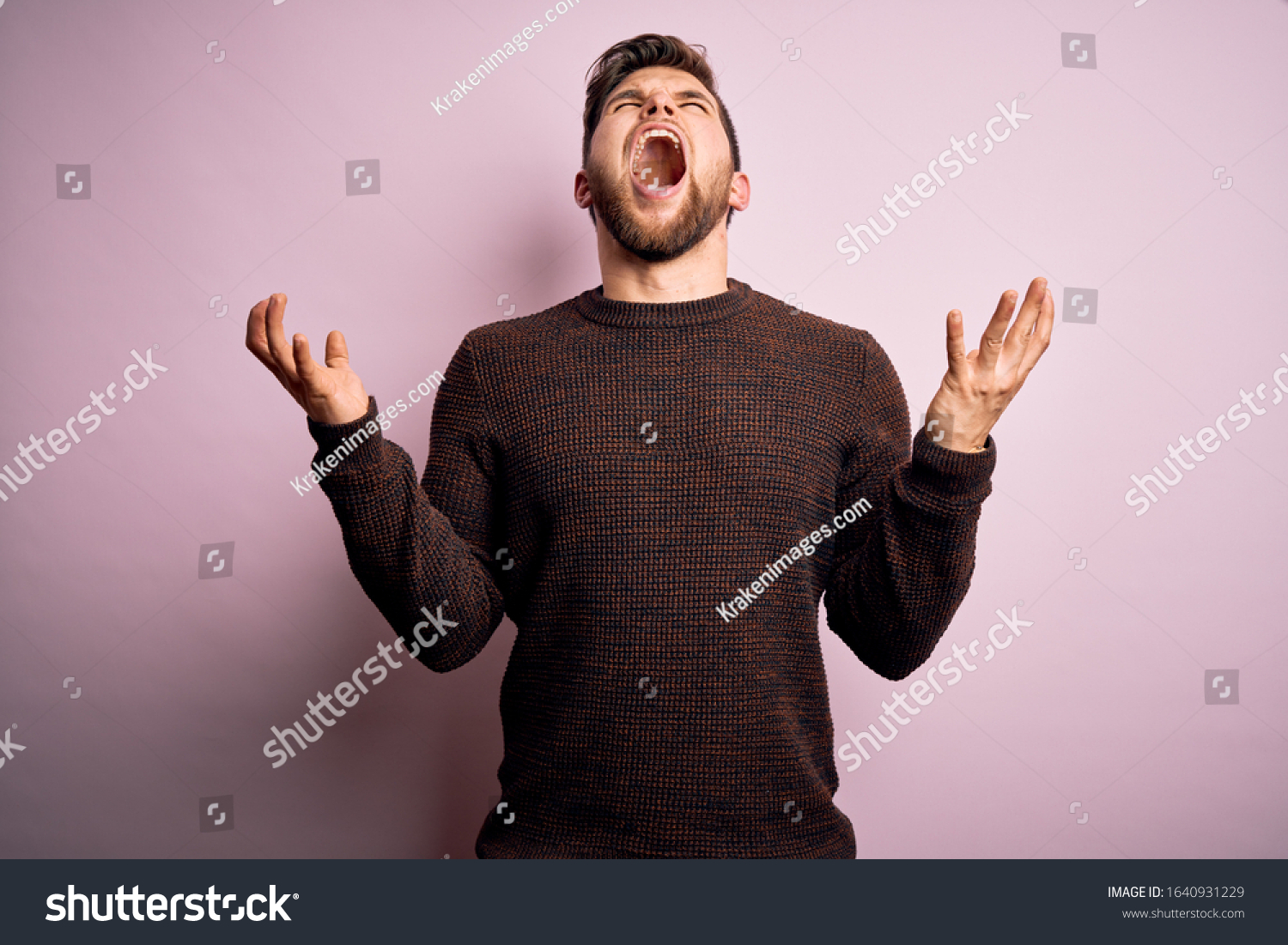 Young blond man with beard and blue eyes wearing casual sweater over pink background crazy and mad shouting and yelling with aggressive expression and arms raised. Frustration concept. #1640931229