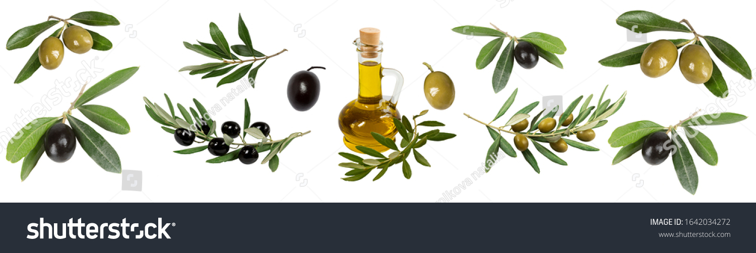 collage of olives, olive branches, olive oil bottle on a white background isolated #1642034272