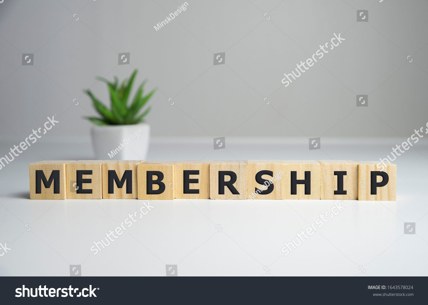 focus on wooden blocks with letters making Membership text. Concept image. #1643578024