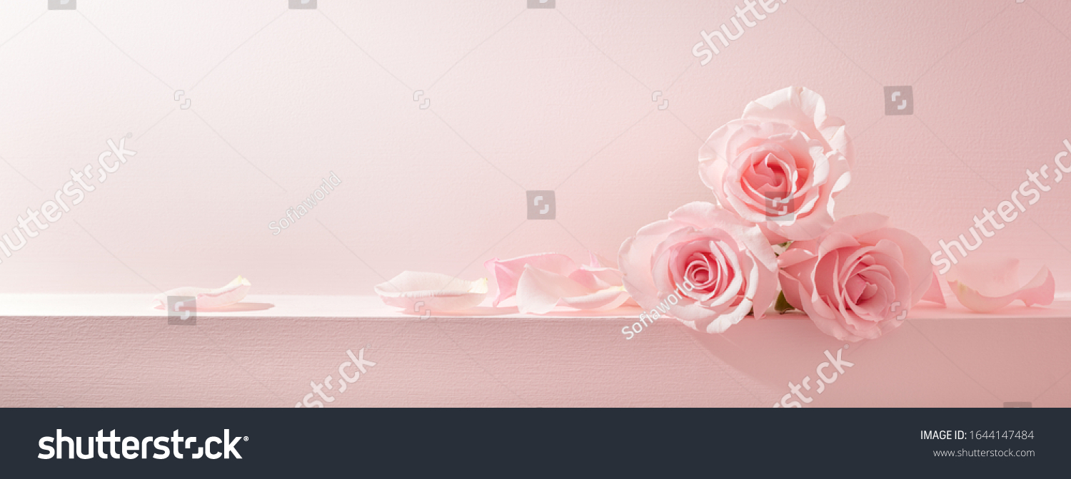 Minimal style. Pink rose petals set on pastel pink background. #1644147484
