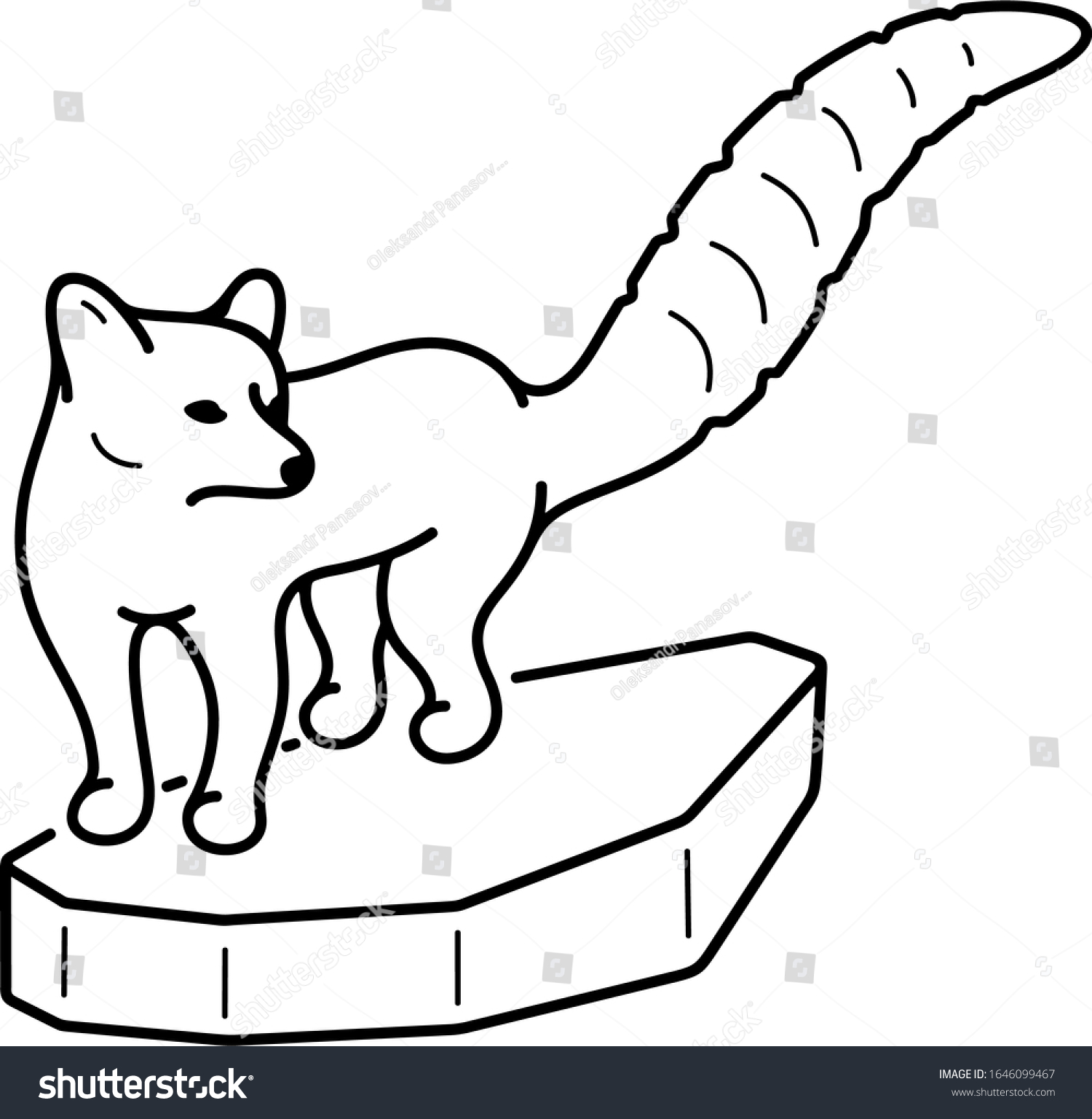 Ringtail cat. Arizona State symbol. Vector - Royalty Free Stock Vector ...