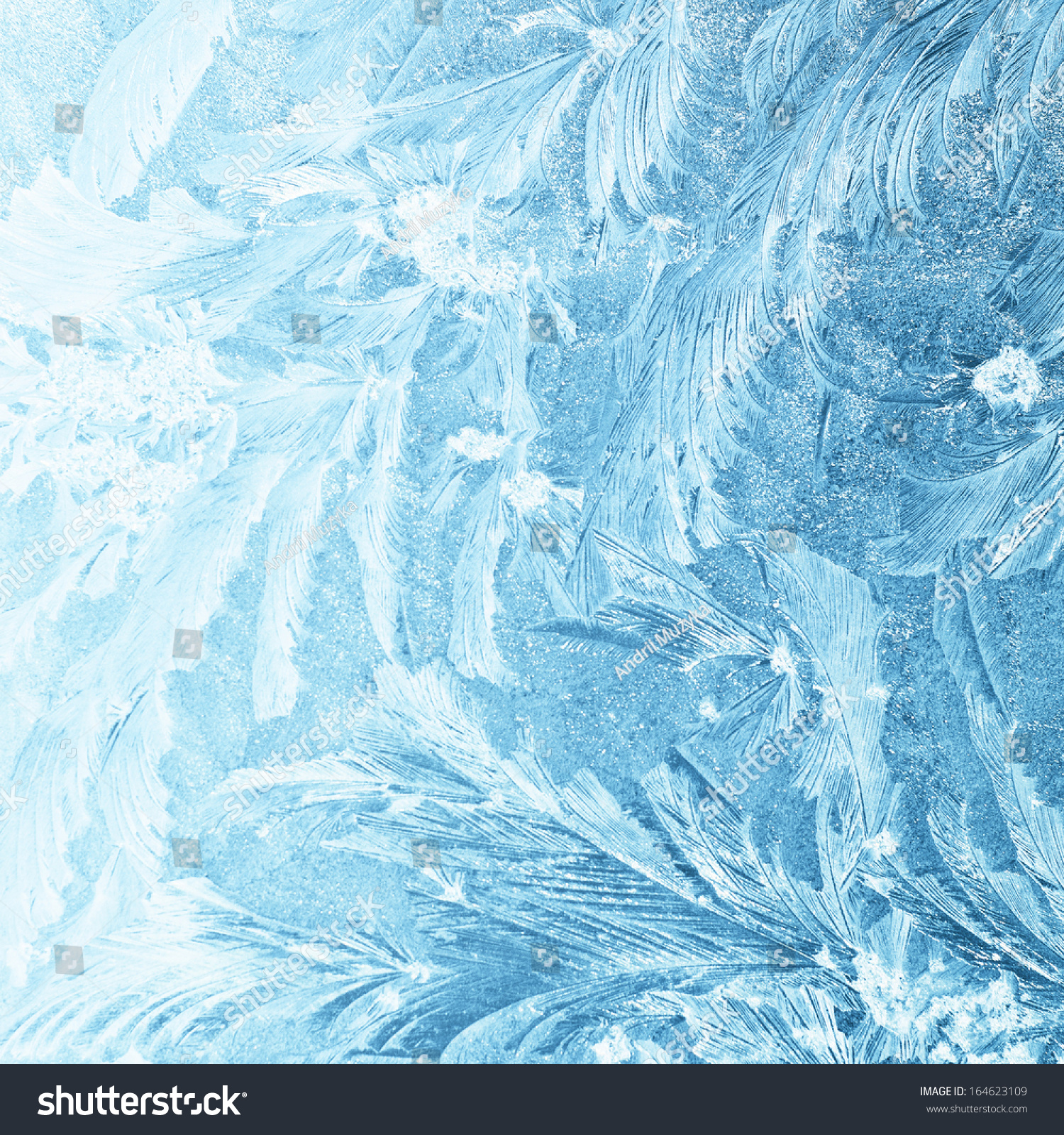 ice natural background #164623109