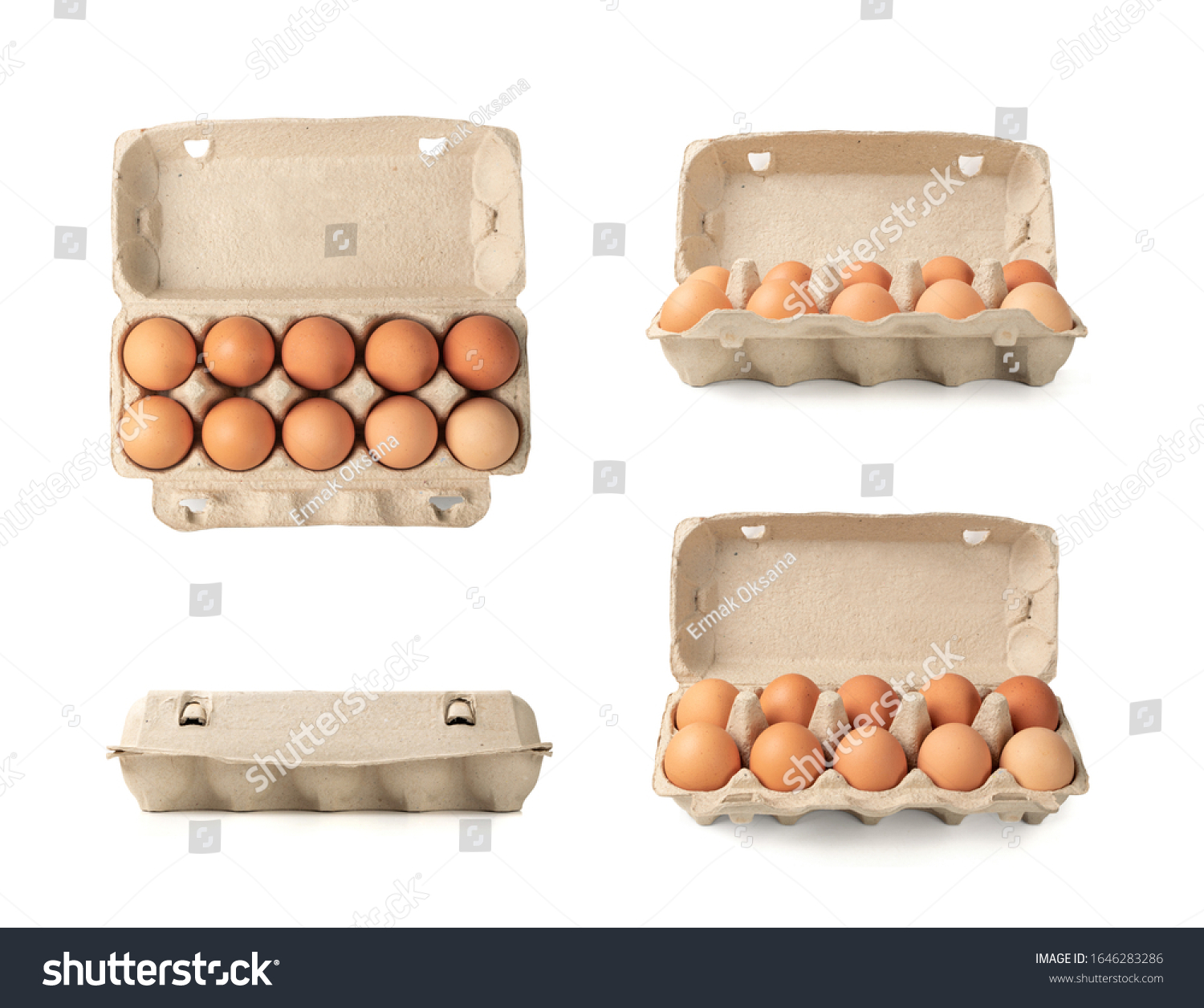 Open egg box with ten brown eggs isolated on white background with clipping path. Fresh organic chicken eggs in carton pack or egg container with copy space #1646283286