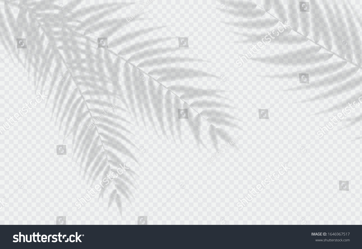 Transparent shadow effects. Vector with shadow overlays on transparent background. Vector of transparent shadows of palm leaf, Leaves #1646967517