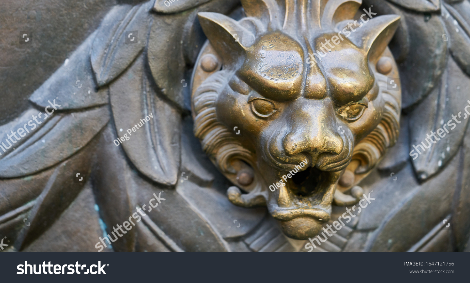Door knocker with head of lion. #1647121756