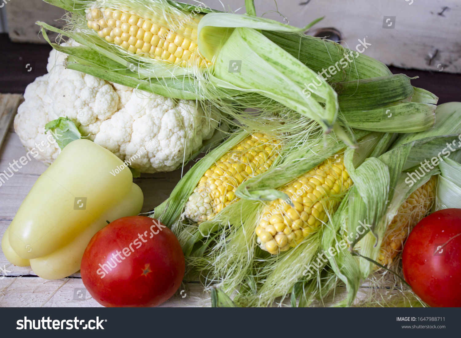 Homegrown vegetables. Fresh organic vegetables. Vegetables from the garden. Colorful vegetable. Healthy vegetable. Banner. Place for text #1647988711