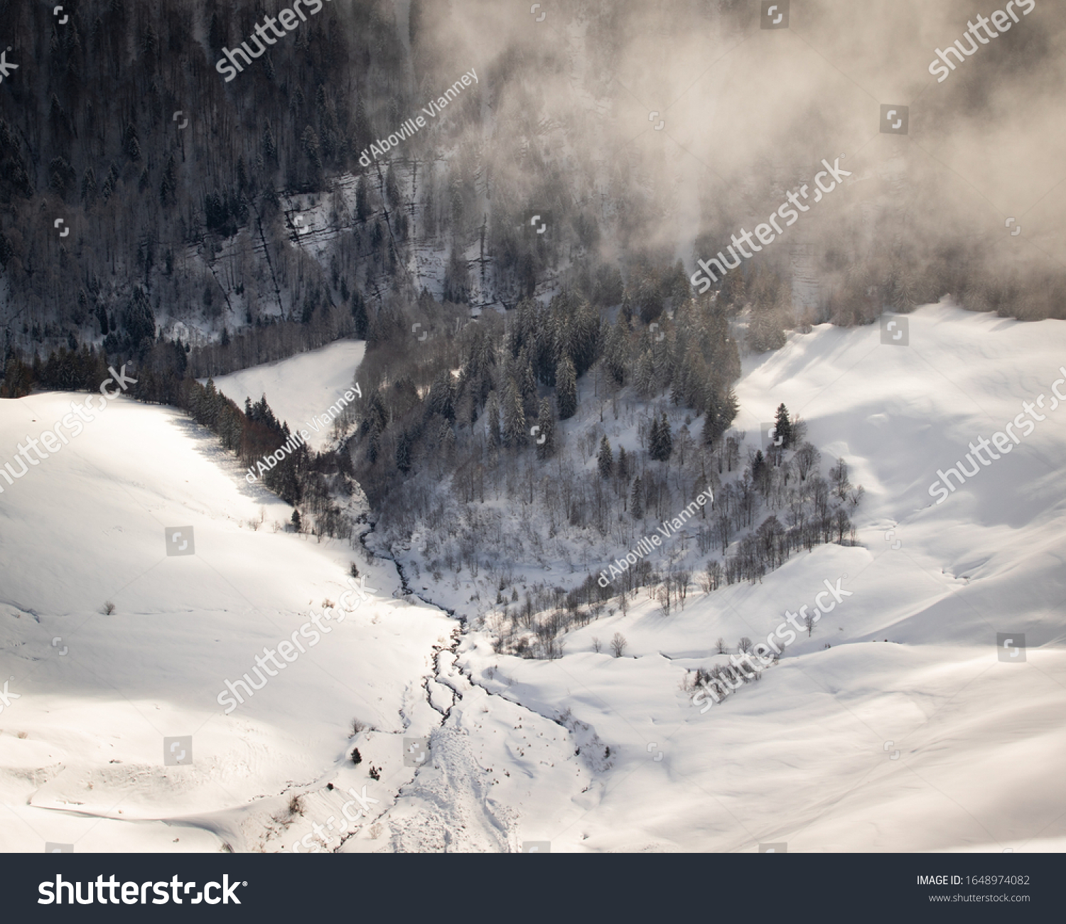 Photo taken in the french Alps in cloudy and windy conditions, which set a ferric atmosphere, with mountains emerging from the clouds, sea of clouds, forests, trees, black and white. #1648974082