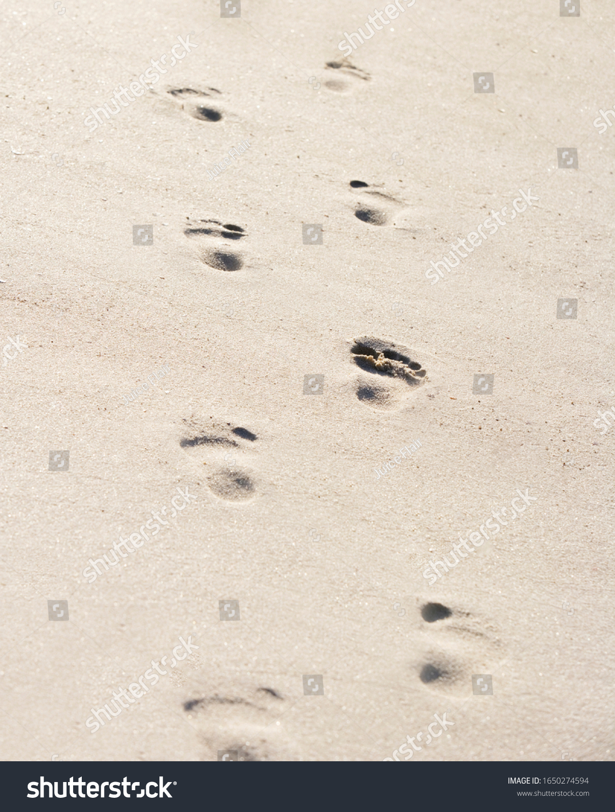 Footsteps in sand on a sunny day #1650274594