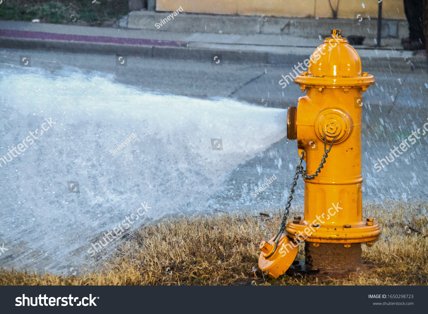 Yellow fire hydrant wide open gushing water onto the street with slightly grainy effect where water is falling back down over the pavement #1650298723