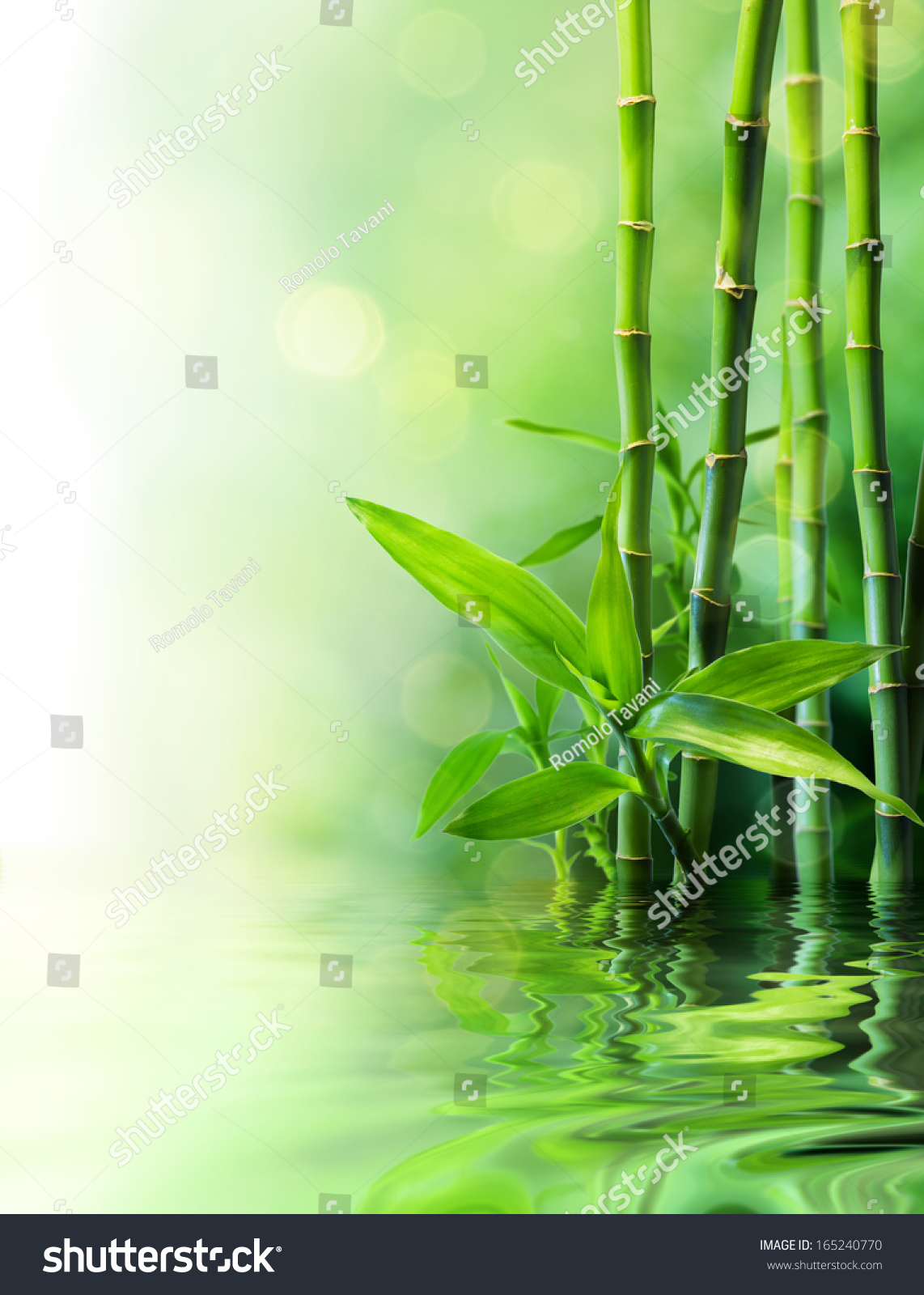 bamboo stalks on water - blurs  #165240770