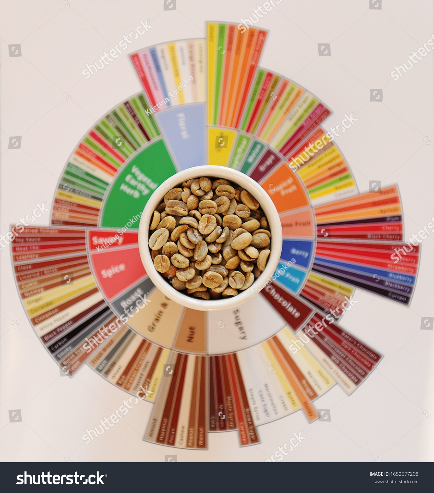 Specialty coffee concept. Raw green coffee beans in white cup on taster's flavor wheel. Top view. Third wave coffee #1652577208