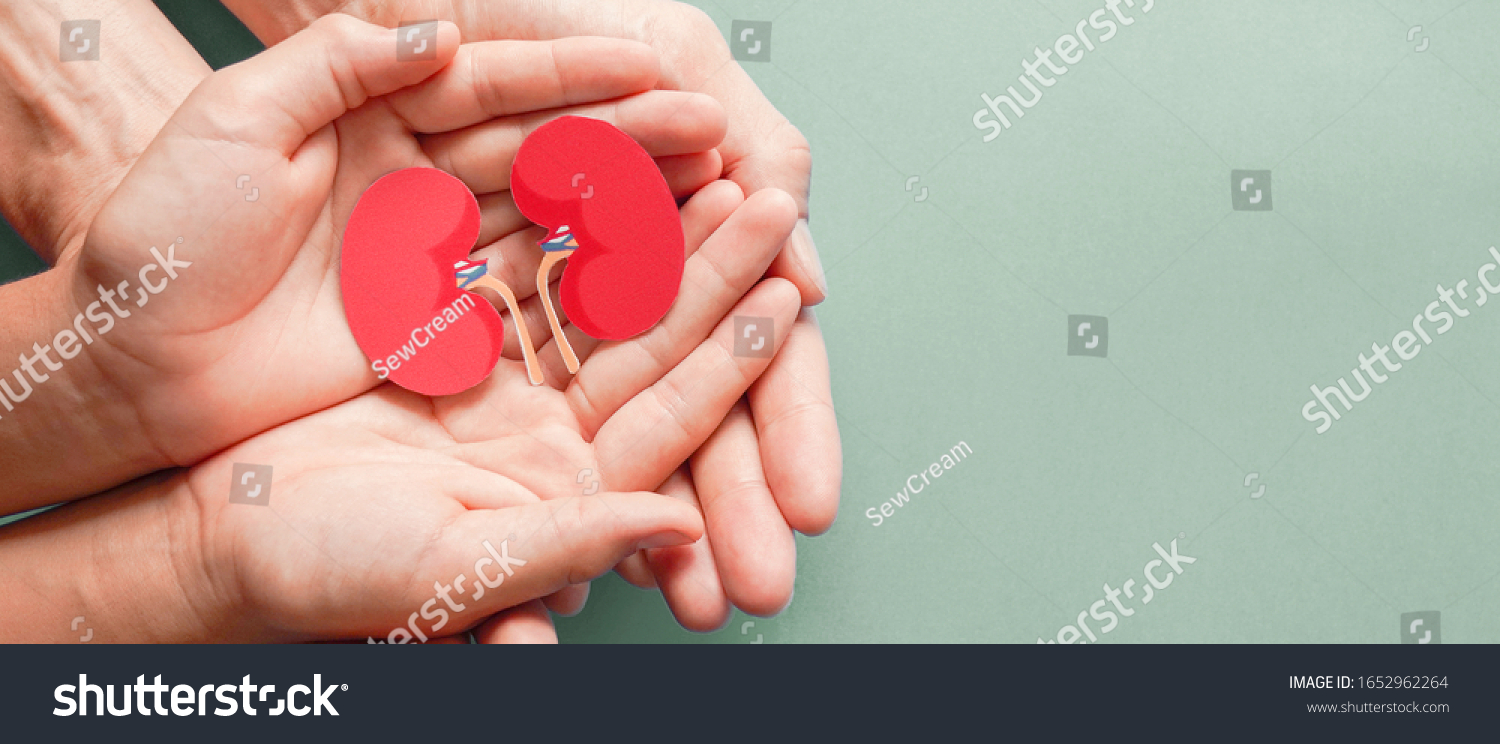 Adult and child holding kidney shaped paper on textured blue background, world kidney day, National Organ Donor Day, charity donation concept #1652962264