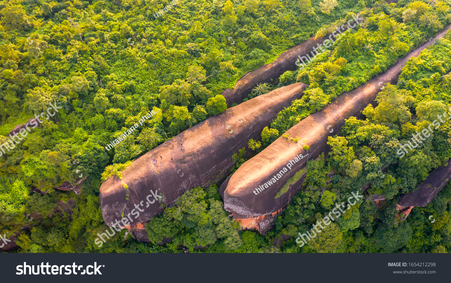Three whale stones. Bird eye view shot of three whales rock in Phu Sing Country park in Bungkarn. Aerial shot of three rock whales in Phu Sing Country park in Bueng Kan, Thailand. #1654212298