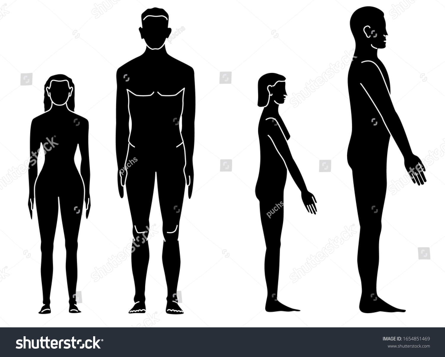 The proportions of the human body. Man and woman - Royalty Free Stock ...