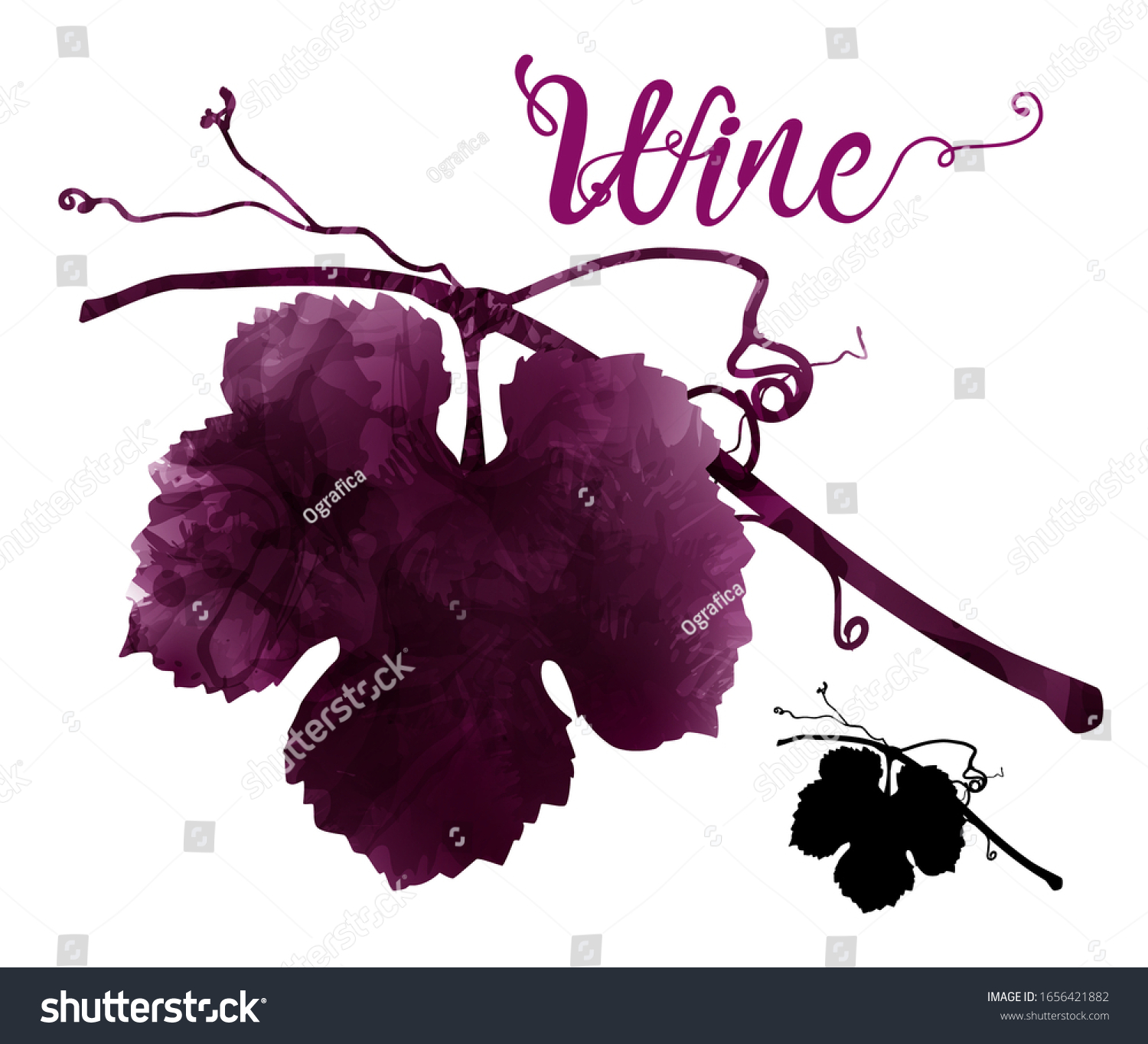 illustration of vine with tendrils. Artistic illustration with red wine stains. Poster, cover, advertisement, flyer, presentation, invitation for wine events. Silhouette. Vector drawing #1656421882