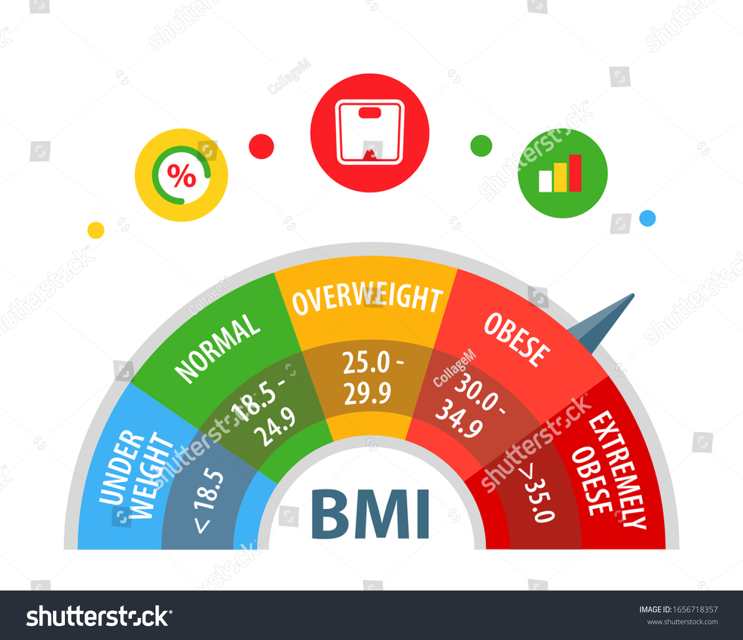 Body Mass Index Body Weight Index Bmi Vector Royalty Free Stock Vector 1656718357 6838