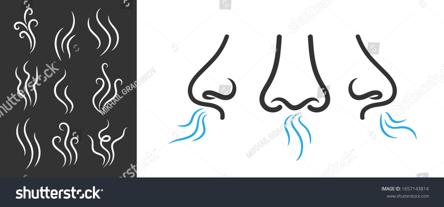 Creative vector illustration of smell symbols, nose, air, vapour smoke isolated on background. Art design breathing aroma smell template. Abstract concept smoke steam pictograms, nose senses element #1657143814