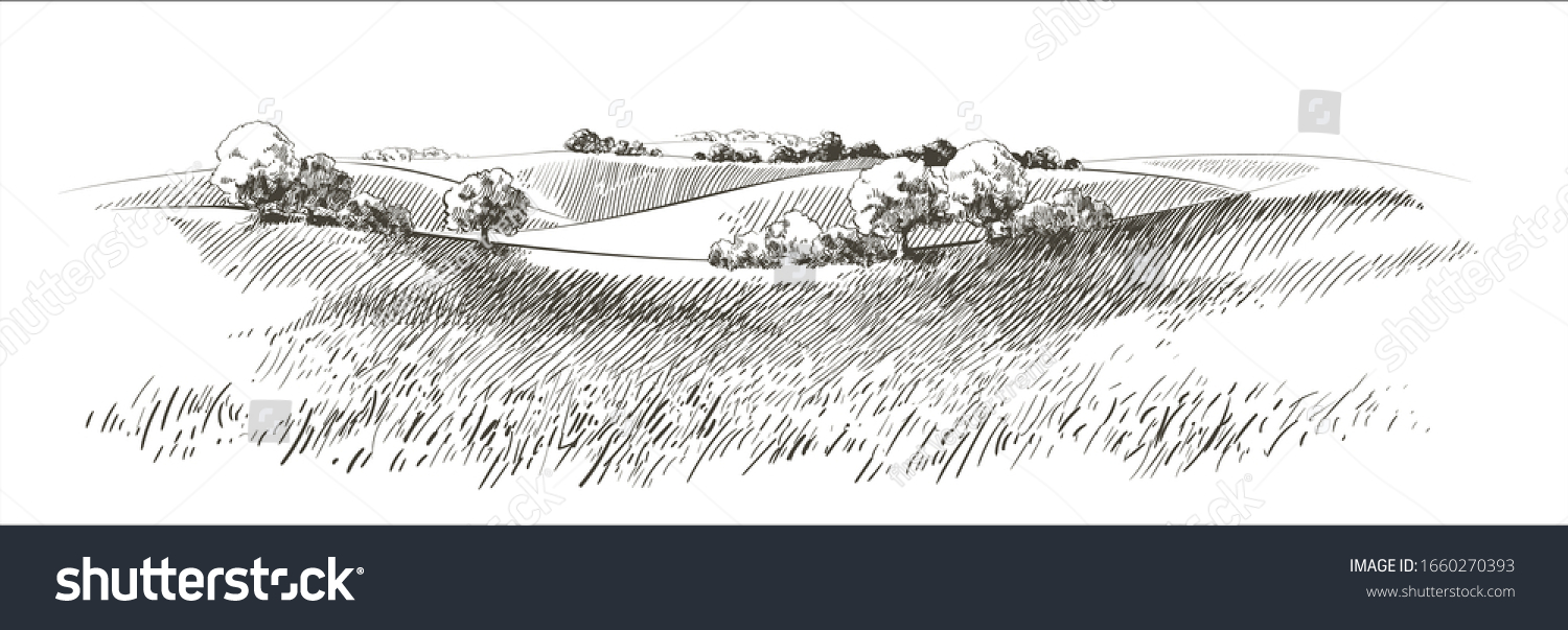Green grass field on small hills. Meadow, alkali, lye, grassland, pommel, lea, pasturage,  farm. Rural scenery landscape panorama of countryside pastures. Vector sketch illustration #1660270393