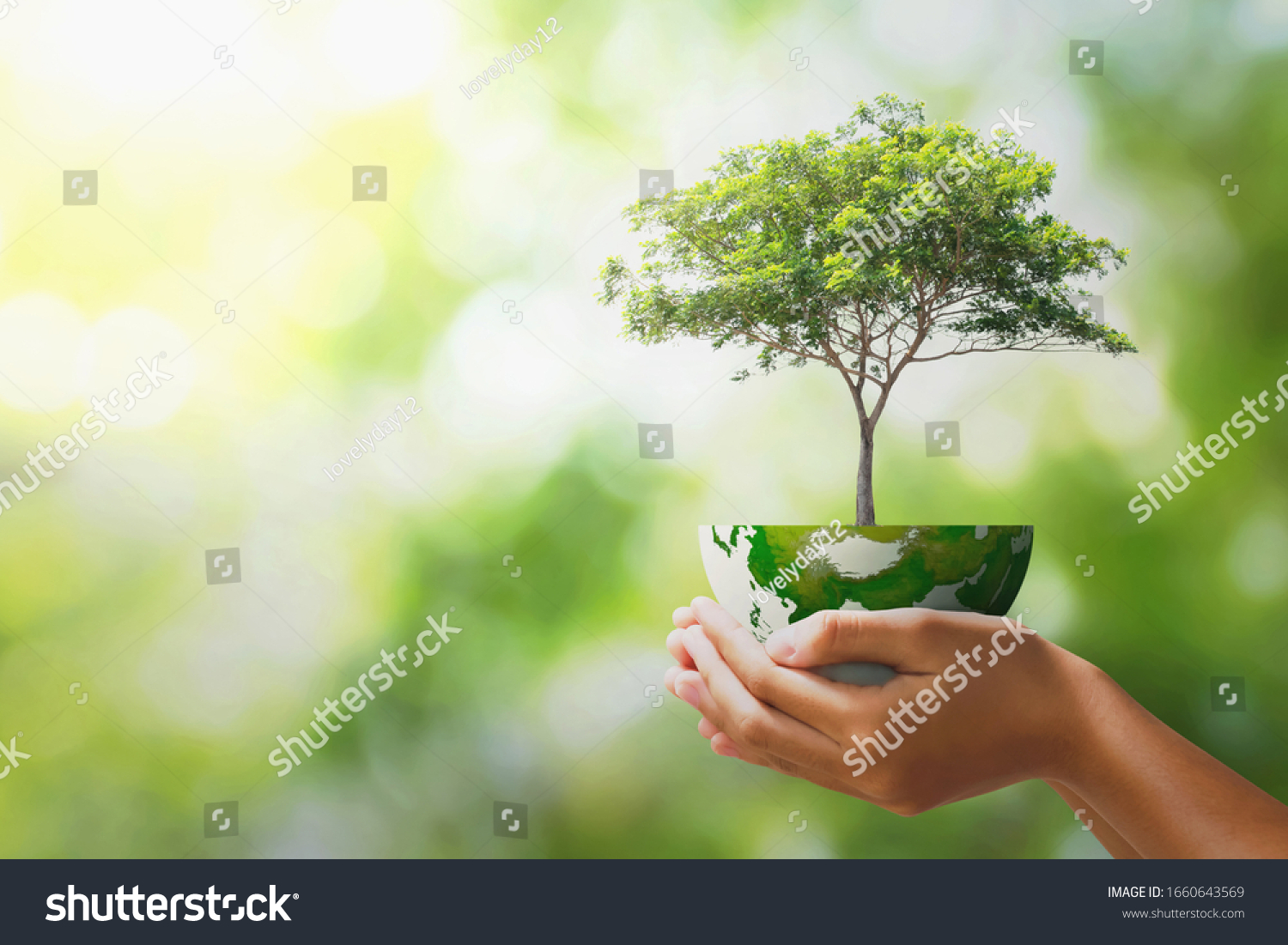hand holding tree with half globe an d sunlight. concept eco earth day #1660643569
