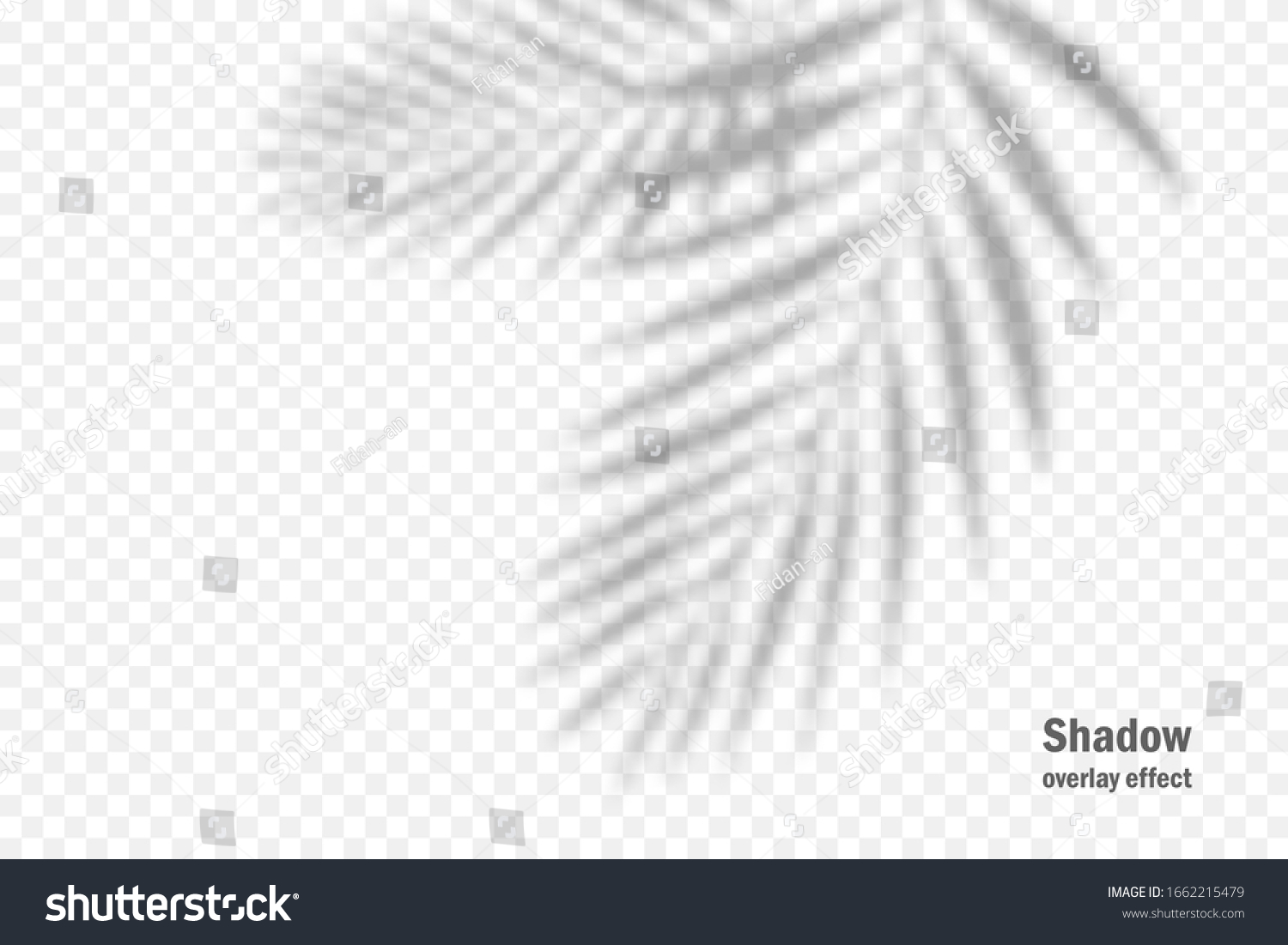 Vector shadow overlay effect. Transparent soft light and shadows from branches, plant and leaves. Mockup of transparent leaf shadow and natural lightning. #1662215479