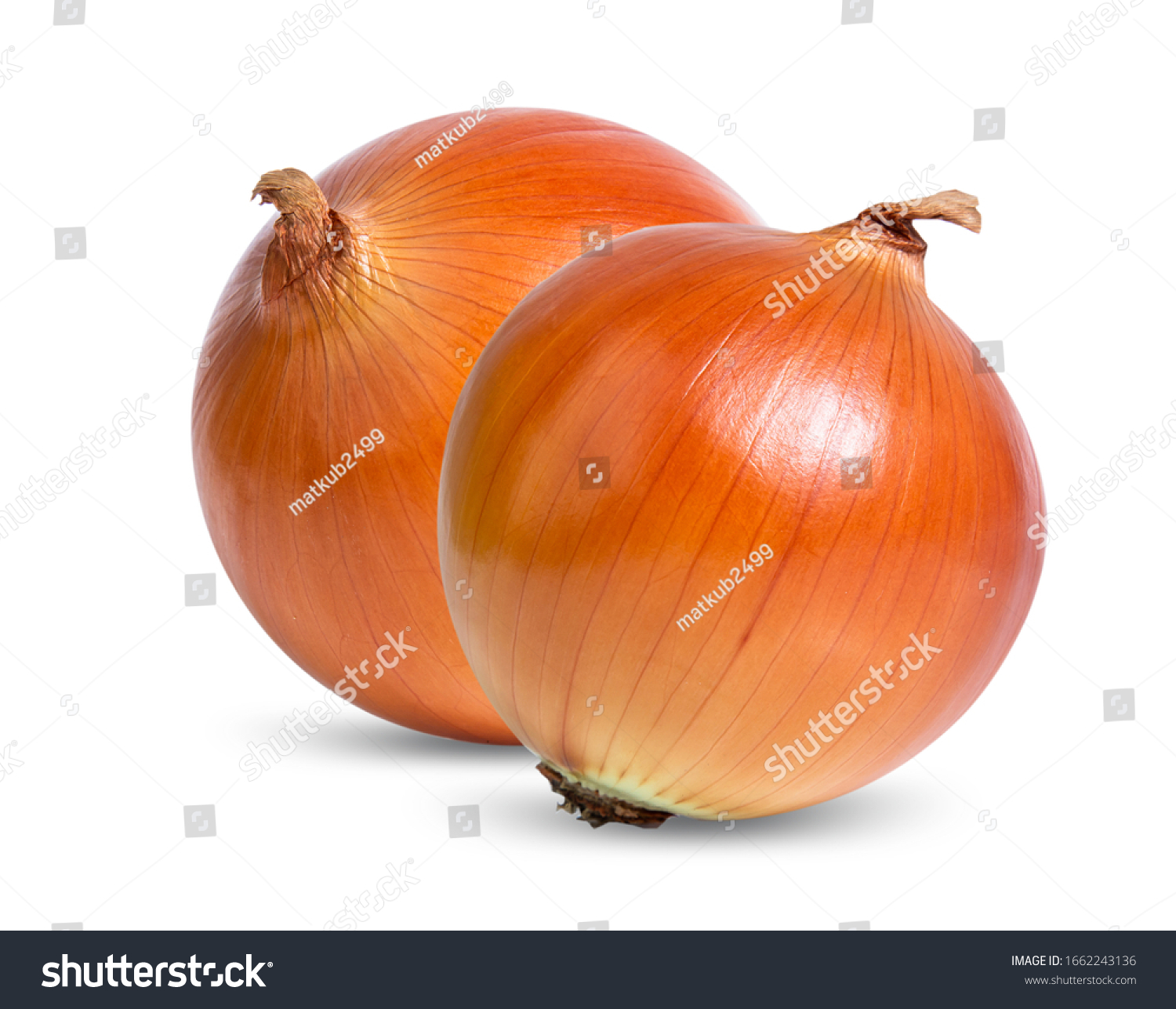 onion isolated on white background #1662243136