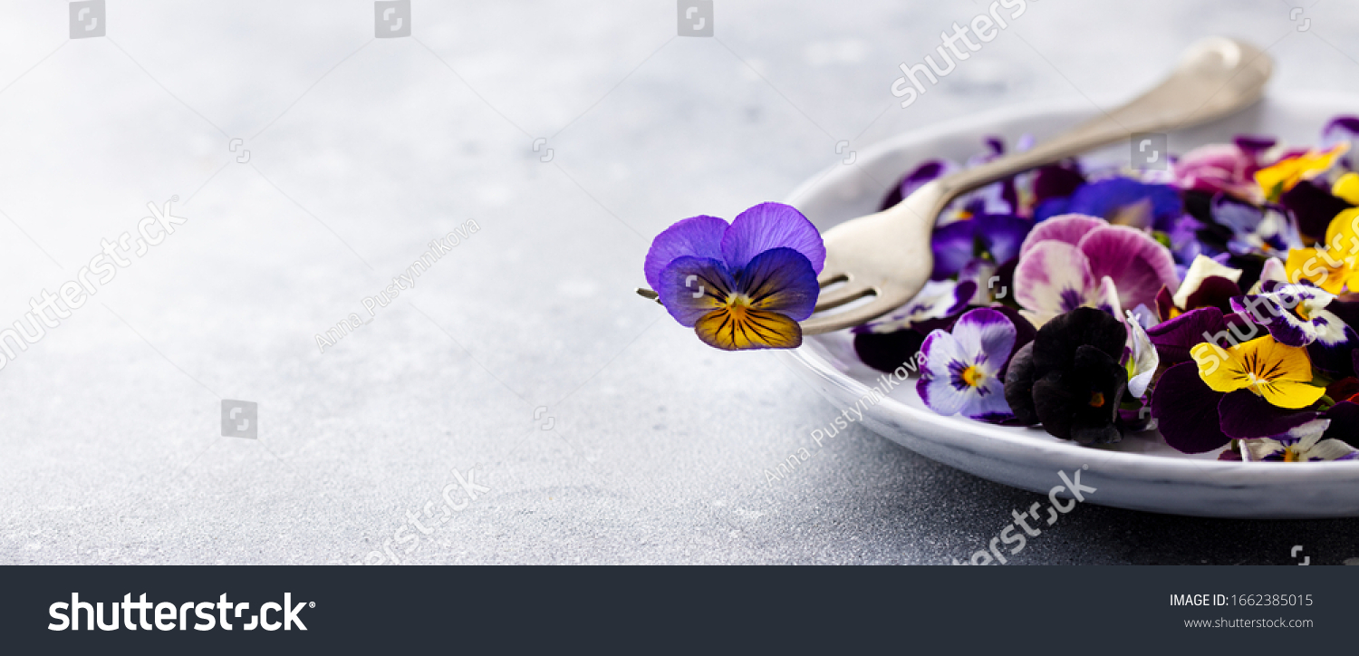 Edible flowers, field pansies, violets on white plate. Grey background. Copy space. #1662385015