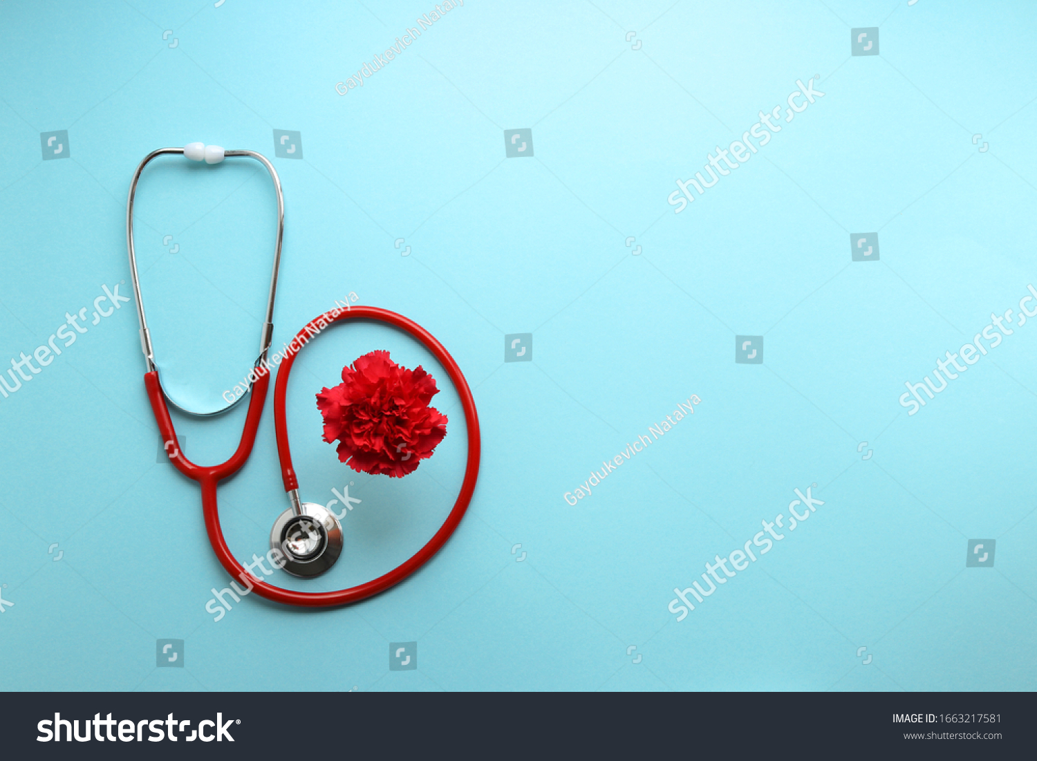 Still life red stethoscope and red carnation on a blue background symbolize the day of the doctor #1663217581