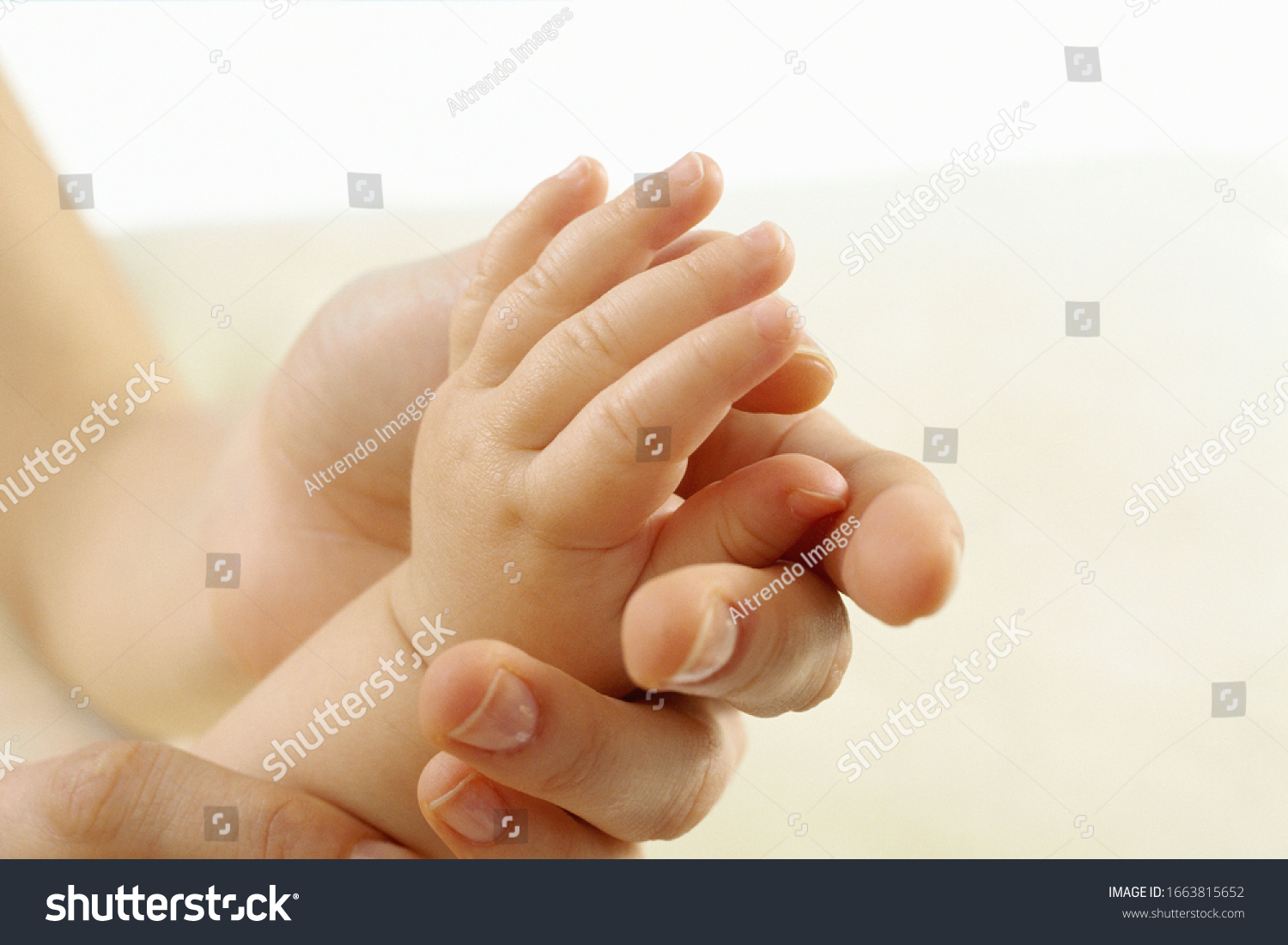 Baby hand in adult hand #1663815652