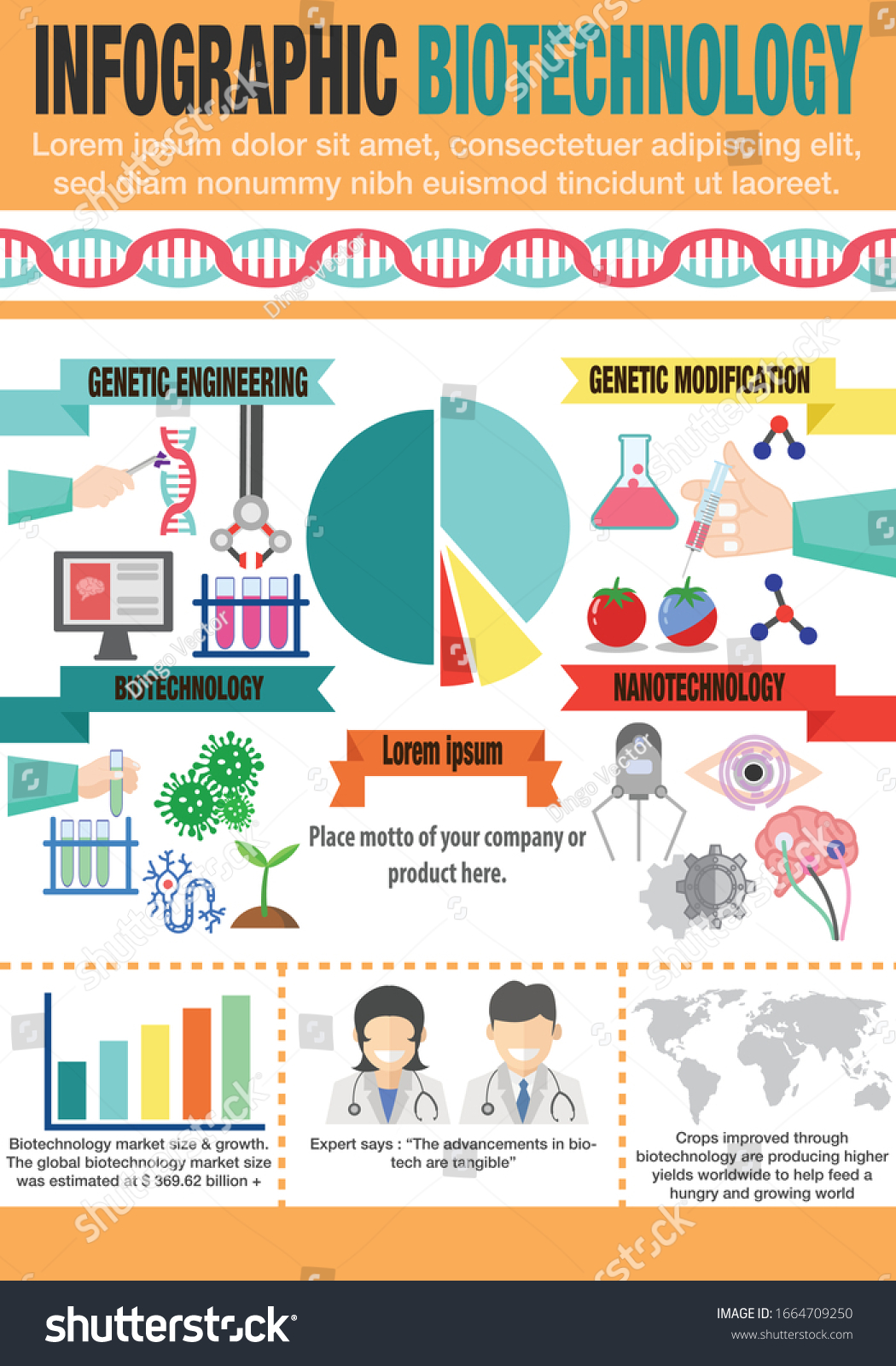 Biotechnology Infographic, template infographic, - Royalty Free Stock ...