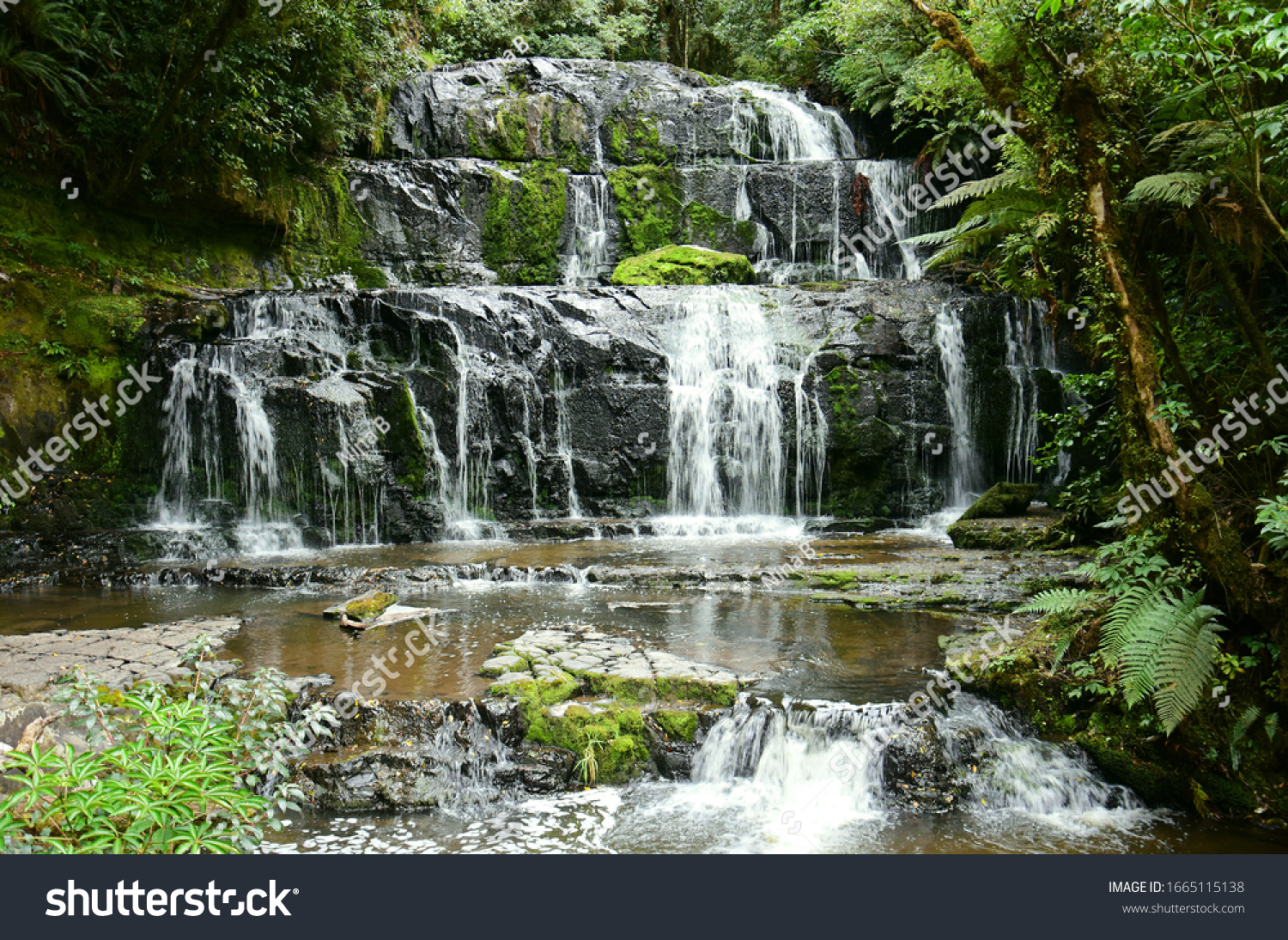 pretty purakanui falls in a silver beech and podocarp forest in the catlins coastal region of southland, on the south island of new zealand #1665115138