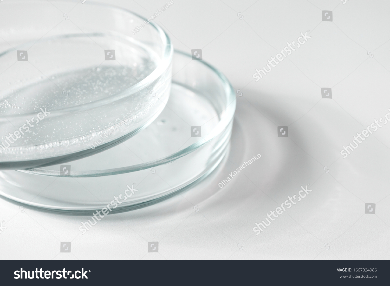 Close-up transparent gel in glass petri dish on white background with copy space and selective focus #1667324986