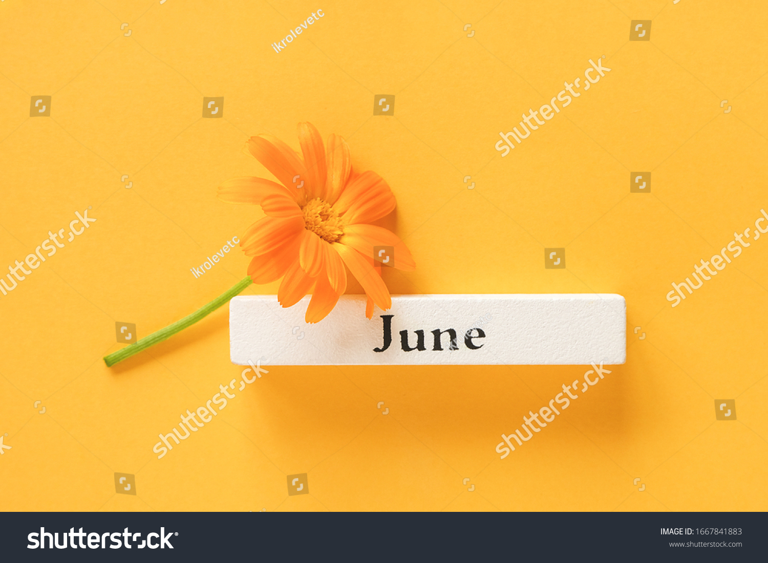 One orange calendula flower and calendar summer month June on yellow background. Top view Copy space Flat lay Minimal style. Concept Hello June Template for your design, greeting card. #1667841883