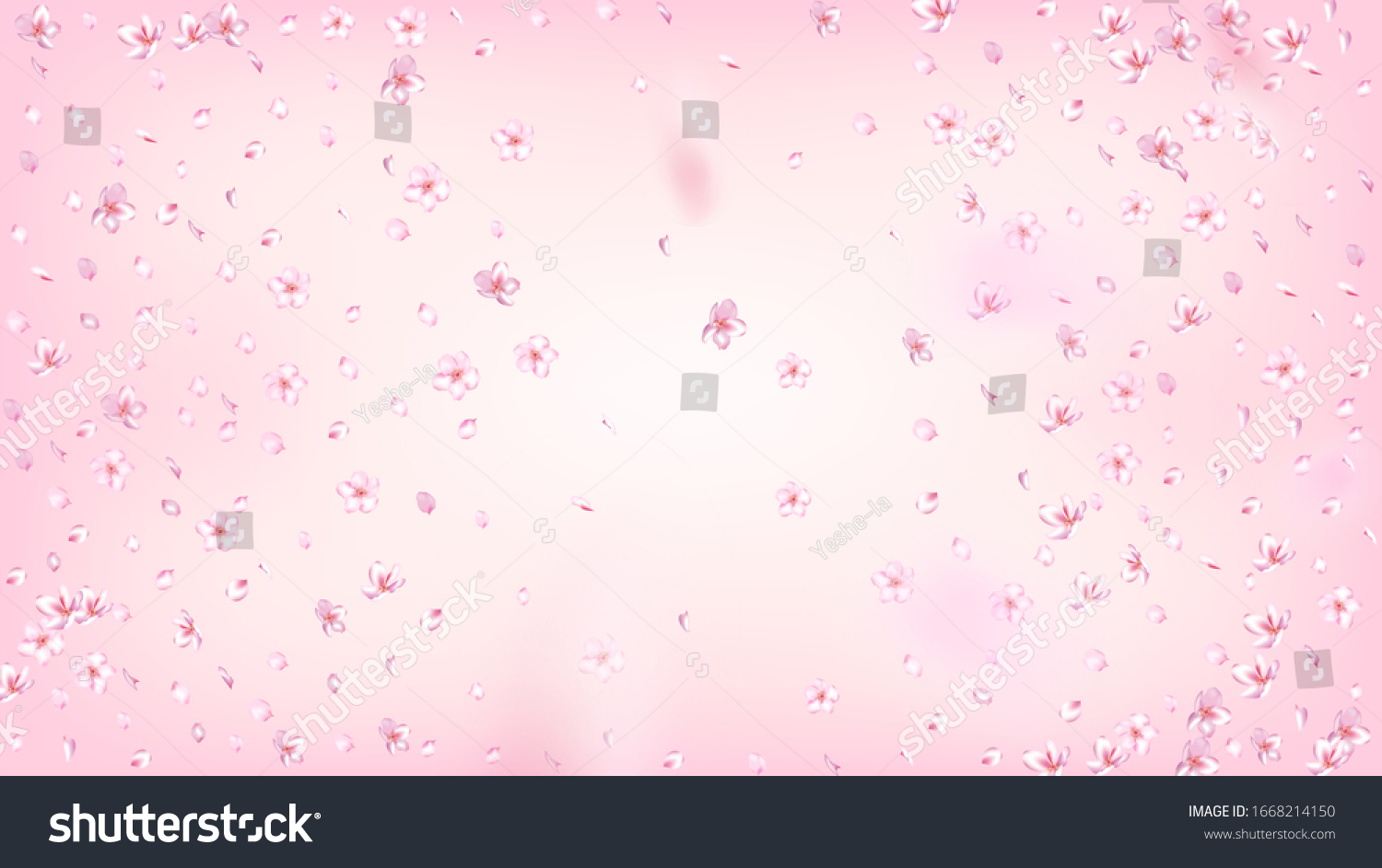Nice Sakura Blossom Isolated Vector. Realistic Falling 3d Petals Wedding Frame. Japanese Funky Flowers Illustration. Valentine, Mother's Day Summer Nice Sakura Blossom Isolated on Rose #1668214150