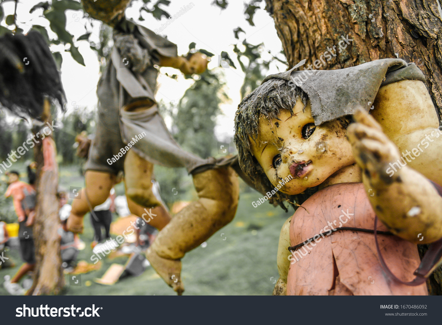 Creepy old dolls in the abandoned Island of the Dolls, Xochimilco, southern Mexico City #1670486092