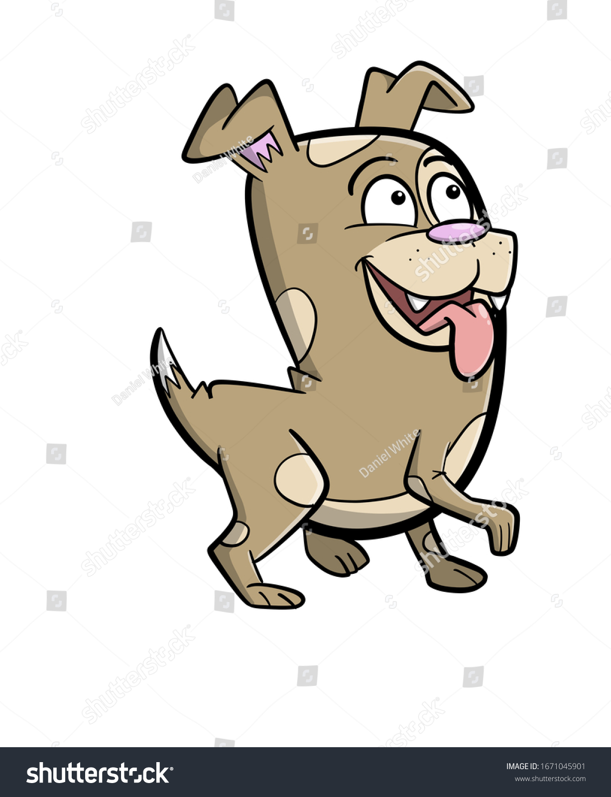 A Quirky Stubby Looking Dog Looking Up Happily Royalty Free Stock