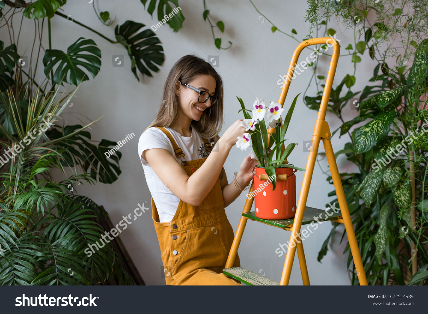 Young smiling woman gardener in glasses wearing overalls, taking care for orchid in old red milk can standing on orange vintage ladder. Home gardening, love of houseplants, freelance.  #1672514989
