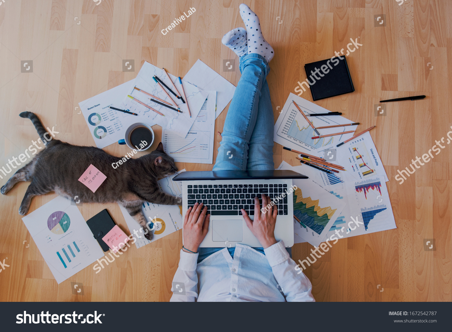 creative home work space - work from home concept - girl with cat #1672542787