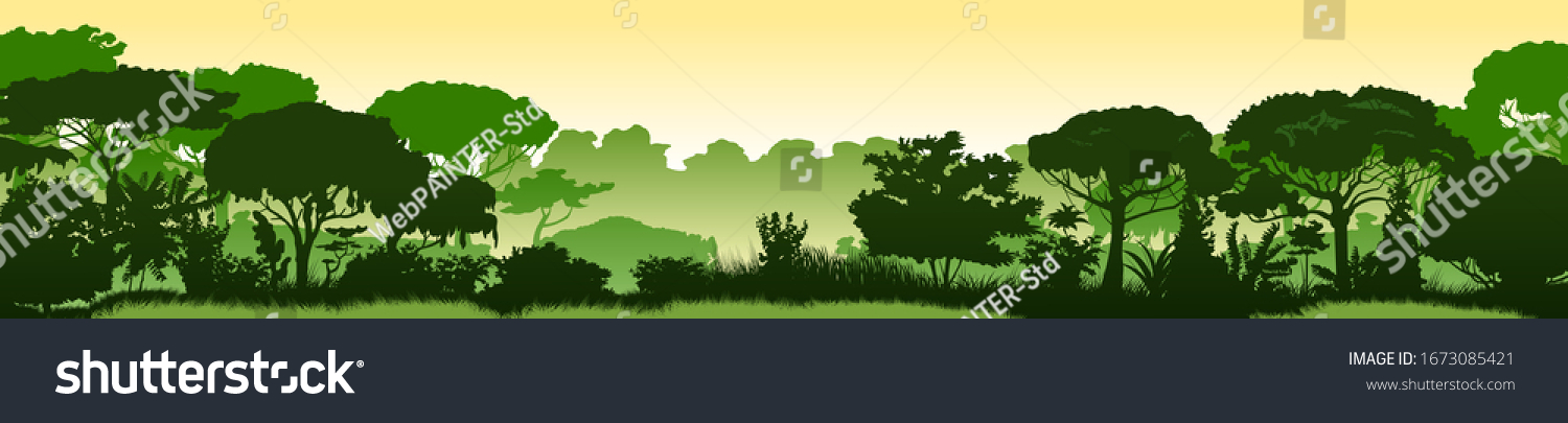 Green landscape of rainforest, jungle thickets. Horizontal background. Scenery silhouette. Dense trees, lush spring, summer grass. Morning or afternoon. Foggy distance. Vector illustration. #1673085421