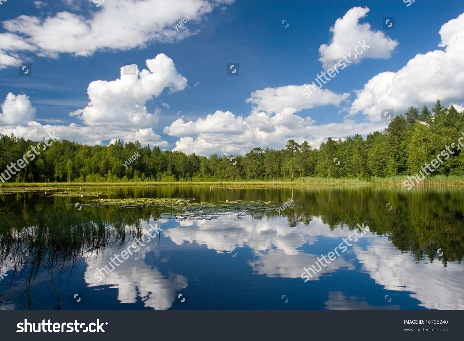summer scene at lake Suur Kalajarv, Estonia #16735240
