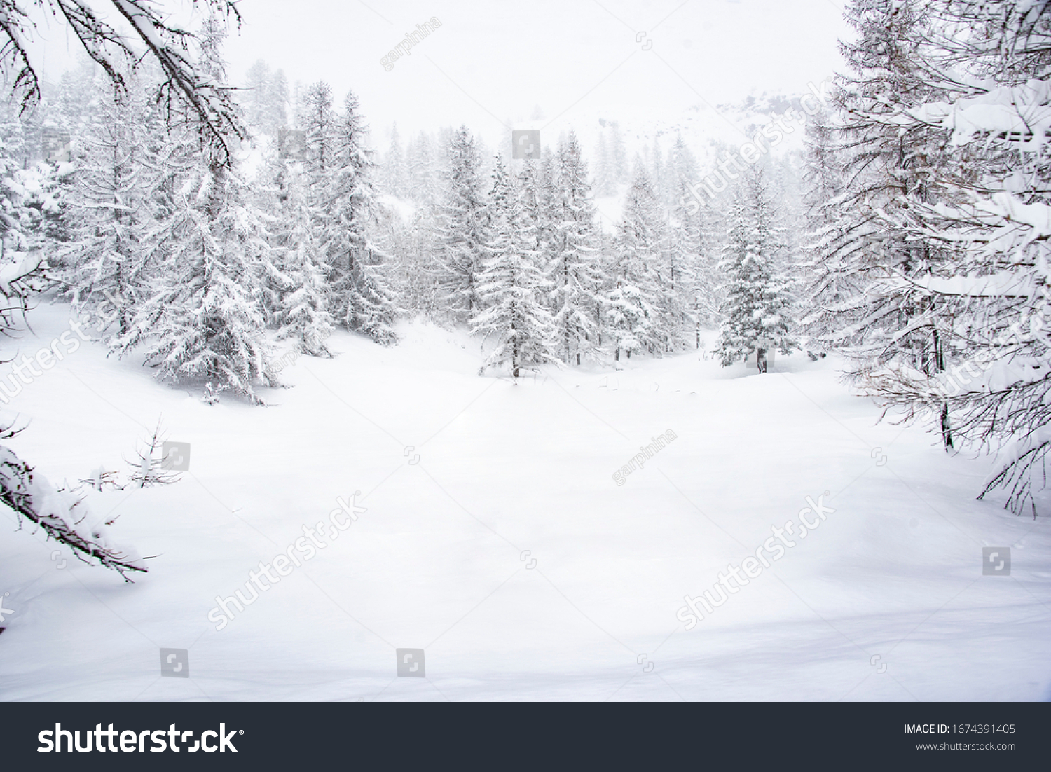 frozen winter landscape in the italia alps #1674391405